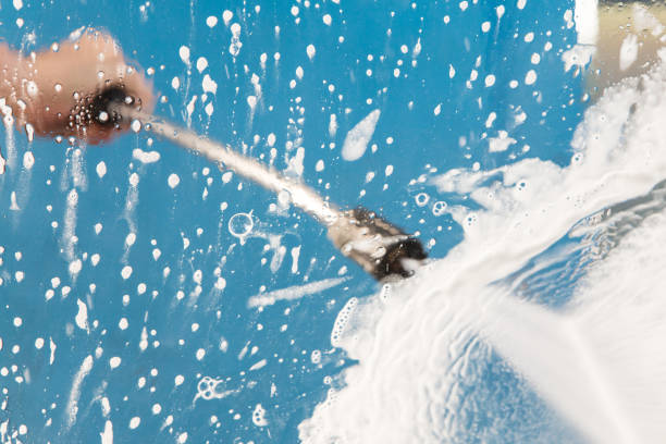 Best Animal Enclosure Cleaning  in Madison Heights, VA