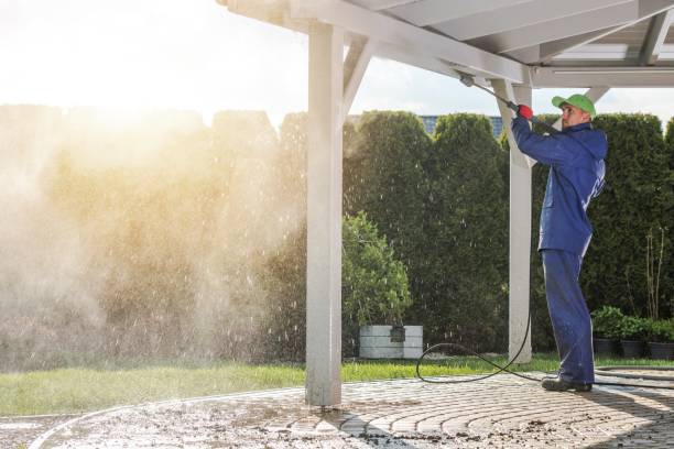 Best Soft Washing  in Madison Heights, VA